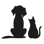 Perro y gato